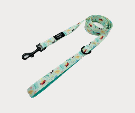 Summer Pawty Leash - 5 Foot Leash Summer Collection