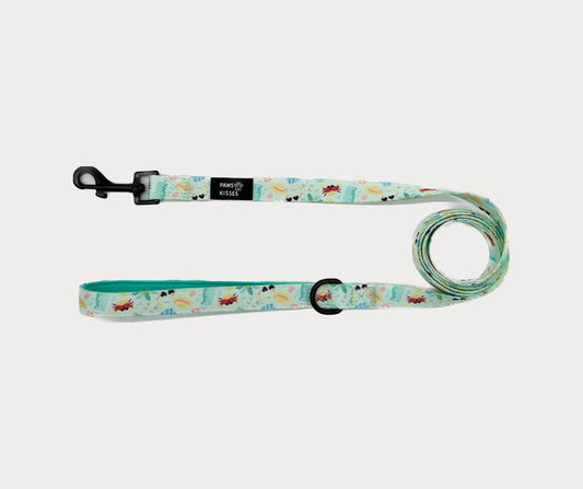 Summer Pawty Leash - 5 Foot Leash Summer Collection
